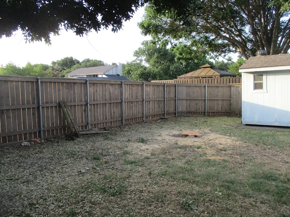 Cleared yard after professional tree removal in Preston Hollow